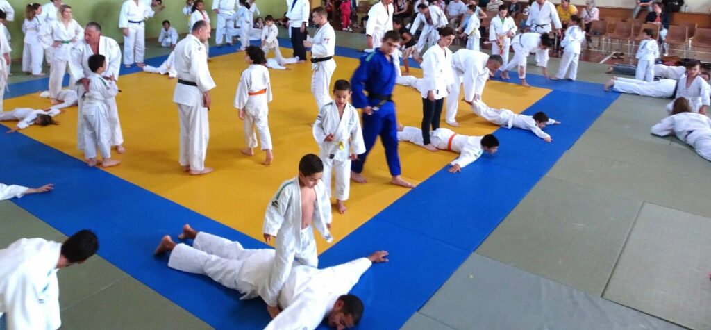 Deux Rendez Vous Sont Proposes En Juin Samedi 16 Tournoi Drome Des Collines Et Dimanche 17 Intersections Du Dojo Romanais 1527270649